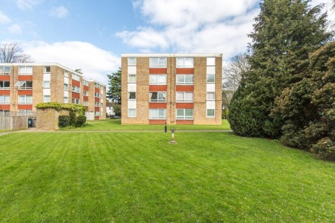 View Full Details for Warham Road, South Croydon