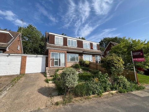 View Full Details for Mallard Road, South Croydon