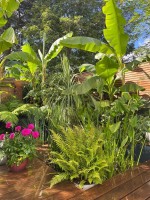 Images for Haling Park Road, South Croydon