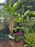 Images for Haling Park Road, South Croydon